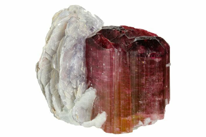 Bi-Colored Elbaite Tourmaline with Mica - Siberia #175651